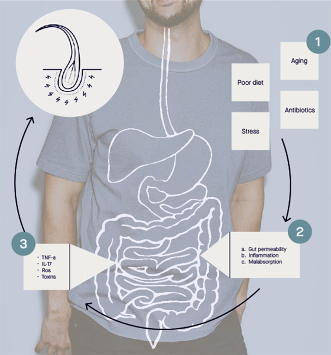 Nutrafol Hairbiotic MD